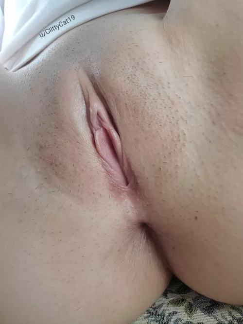 I hope a pussy pic a day can keep the doctor away. Let's try it and see! (f)