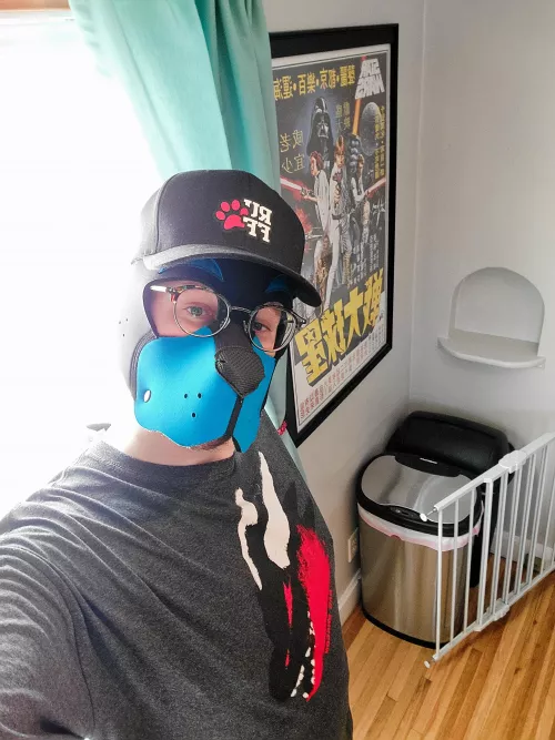 I just wanna be a good boy! 🐶