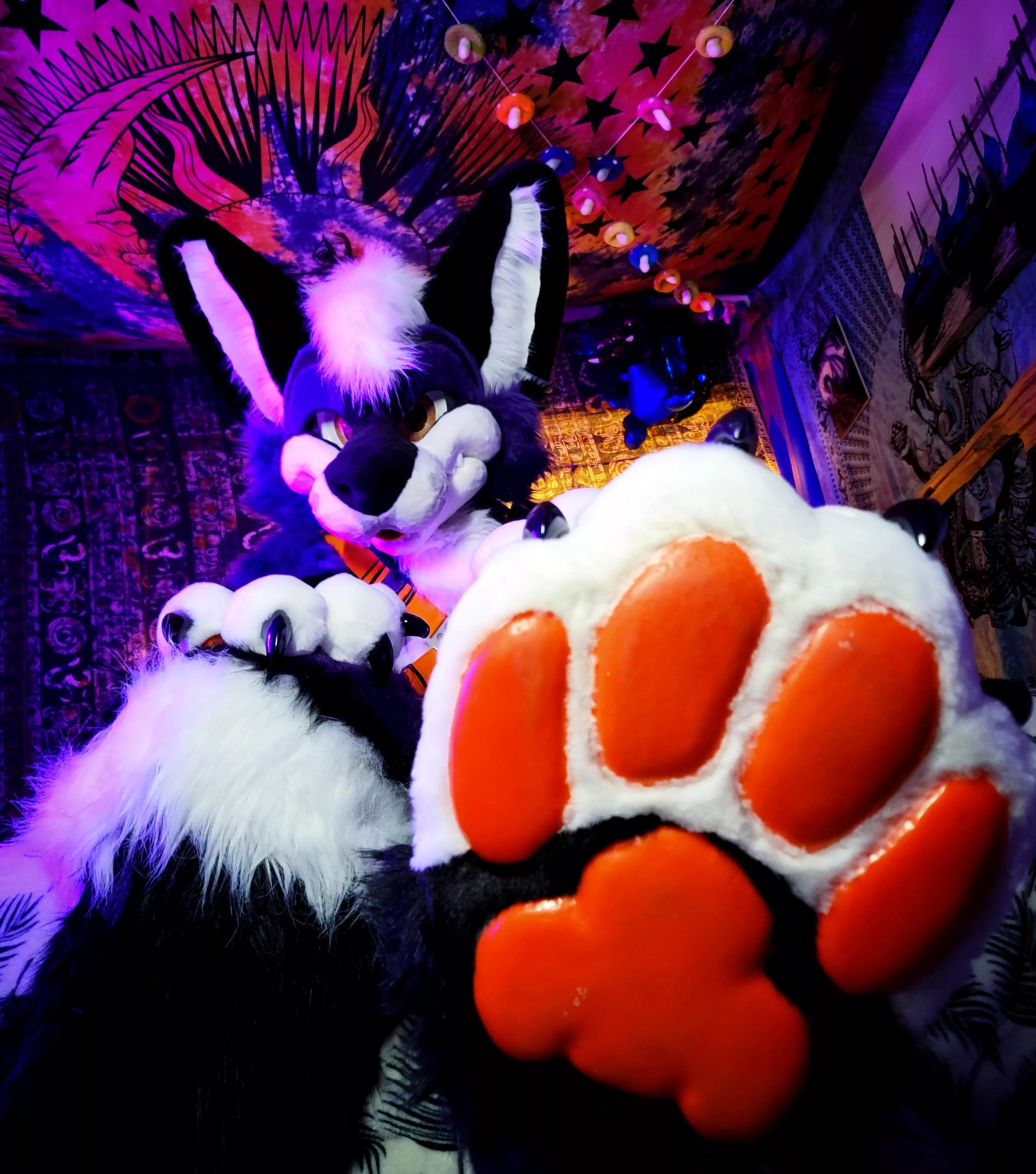 I know some of you like beans, so here, have a fish uwu