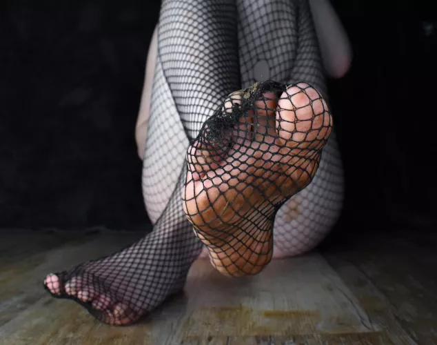 I know they're dirty, but take my fishnets off? With your mouth of course.