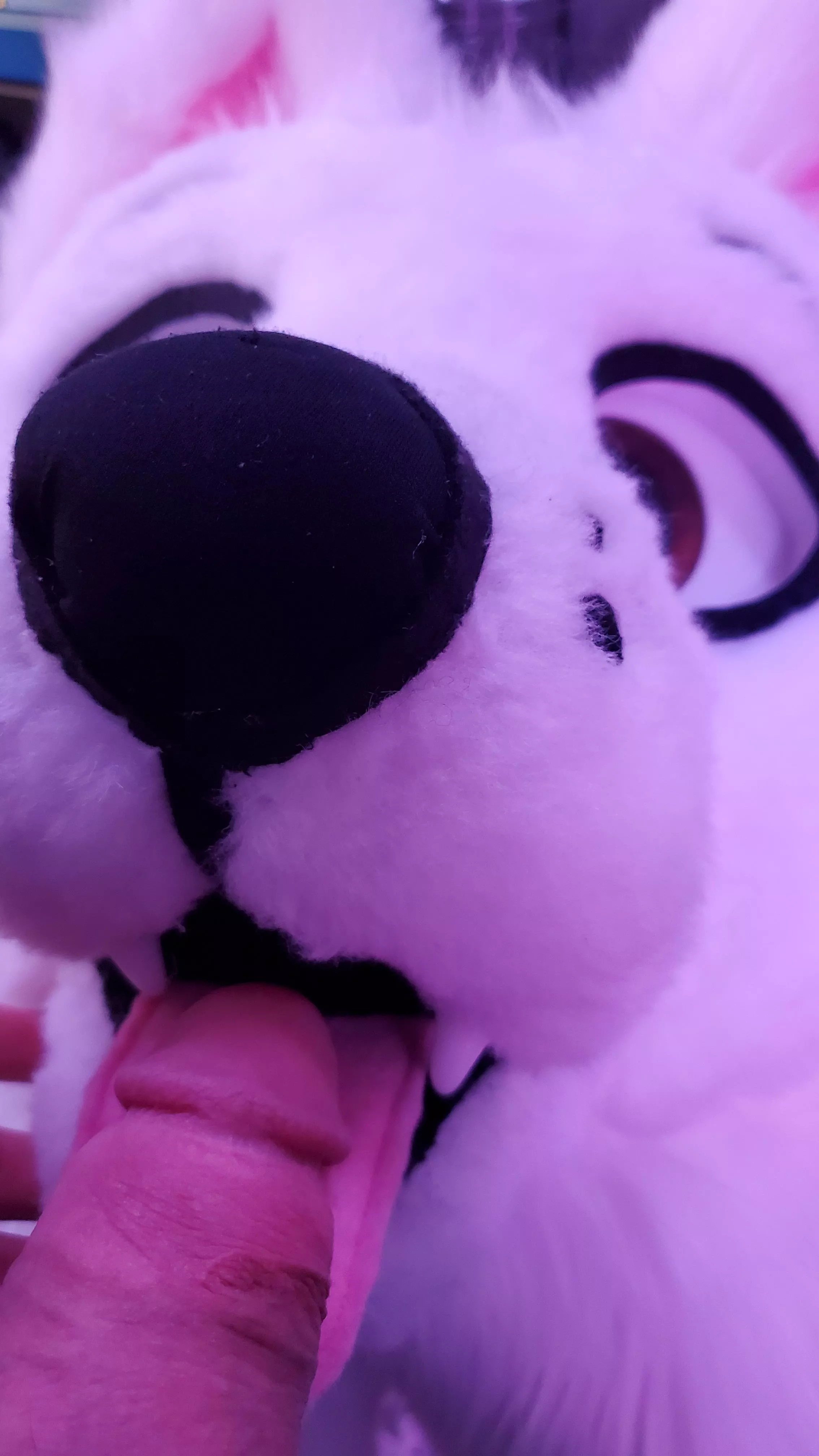 I know this is what alot of you'd like to do to me. So heres this to drool over. X3