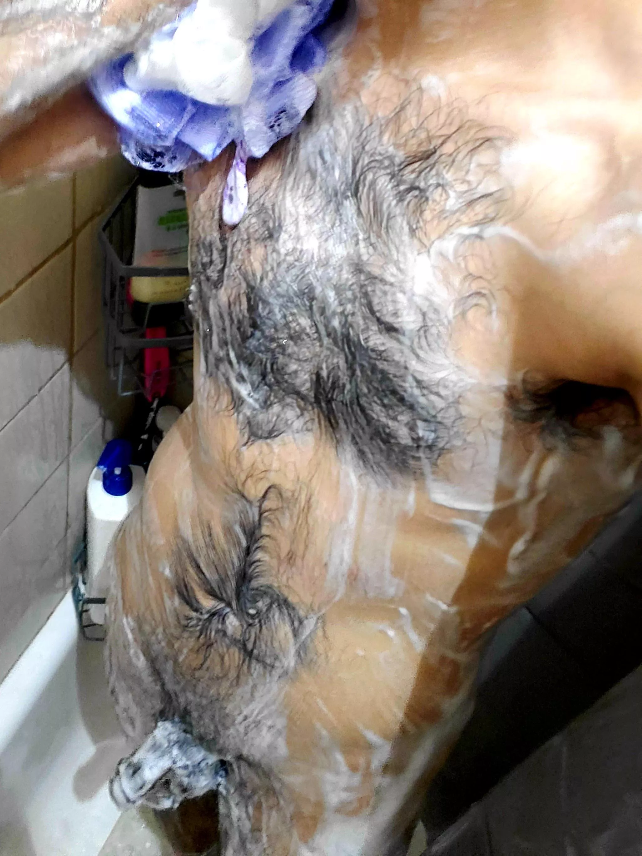 I like the way my chest hair looks all lathered up