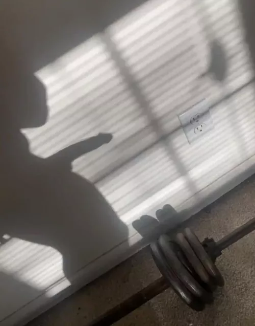 I like to walk around naked with my blinds open