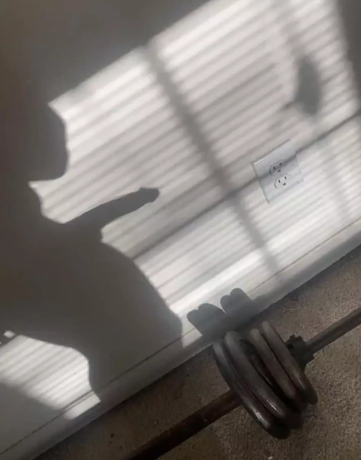 I like to walk around naked with my blinds open