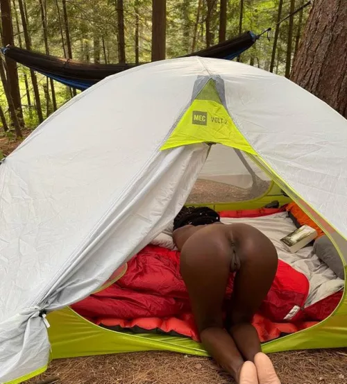 I love being face down and ass up anywhere. Even when I’m camping out in the woods. I’m always ready to take cock 😜