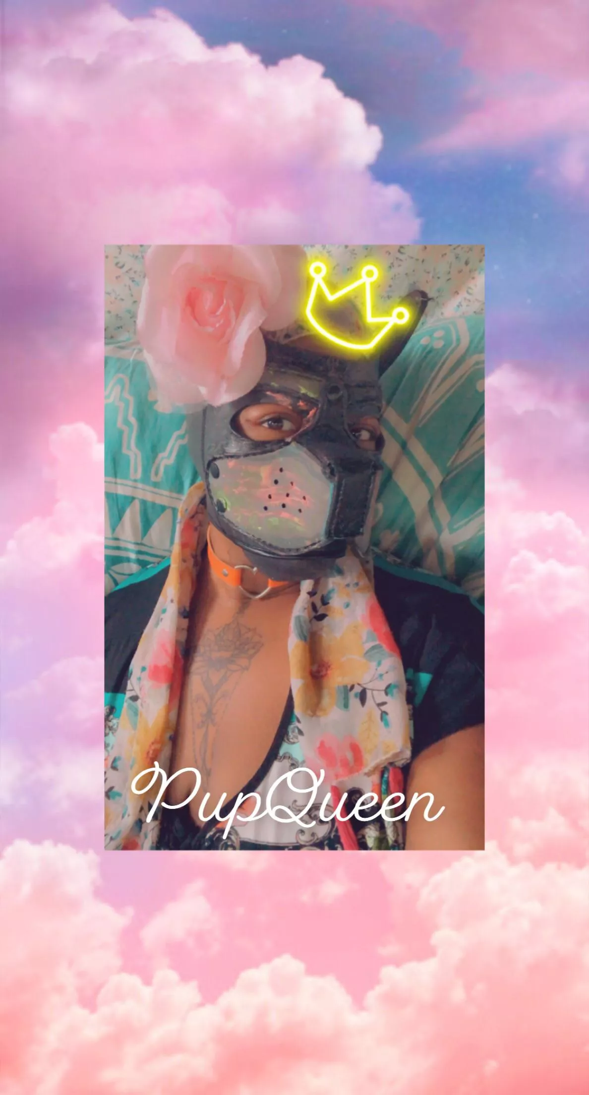 🎀 I love being Motherly to other Pups! 🎀