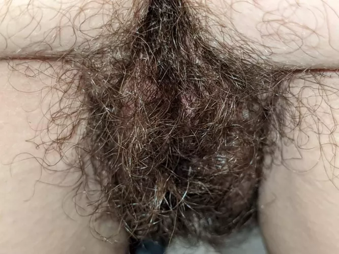 I love my bush ๐ค