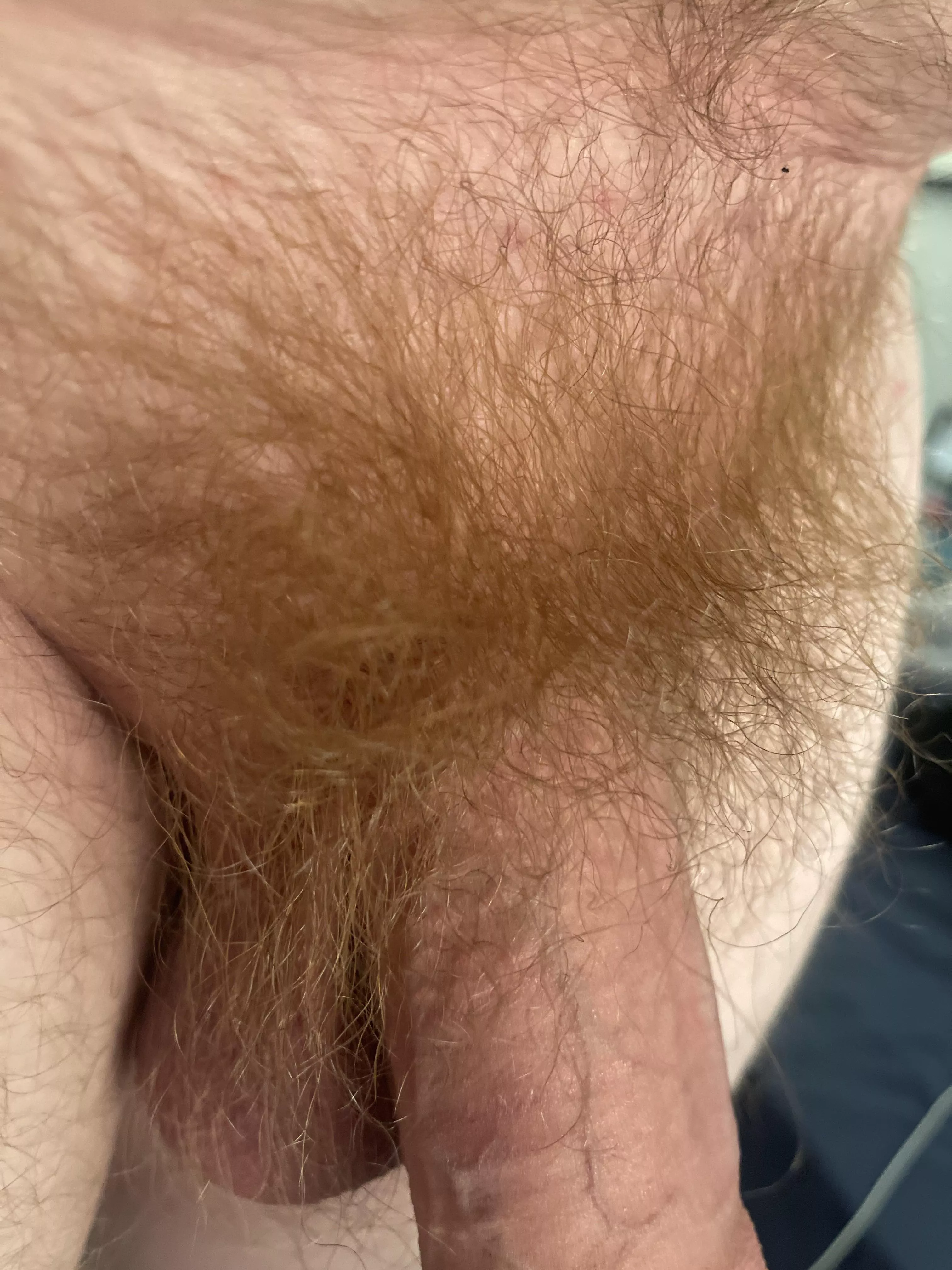 I love my ginger bush! (M25) DMs welcome!