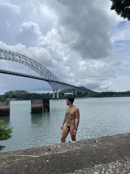 I love this landscape