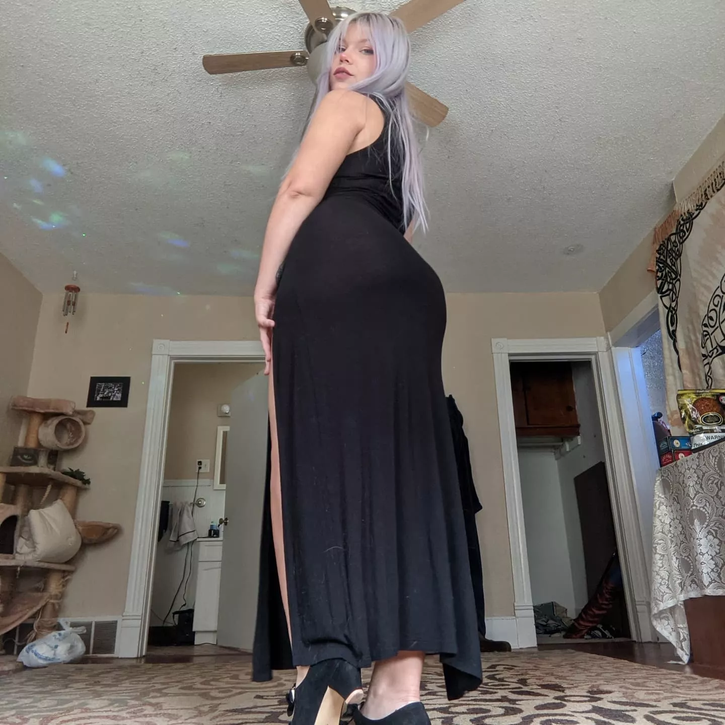 I love watching you follow me around 🖤