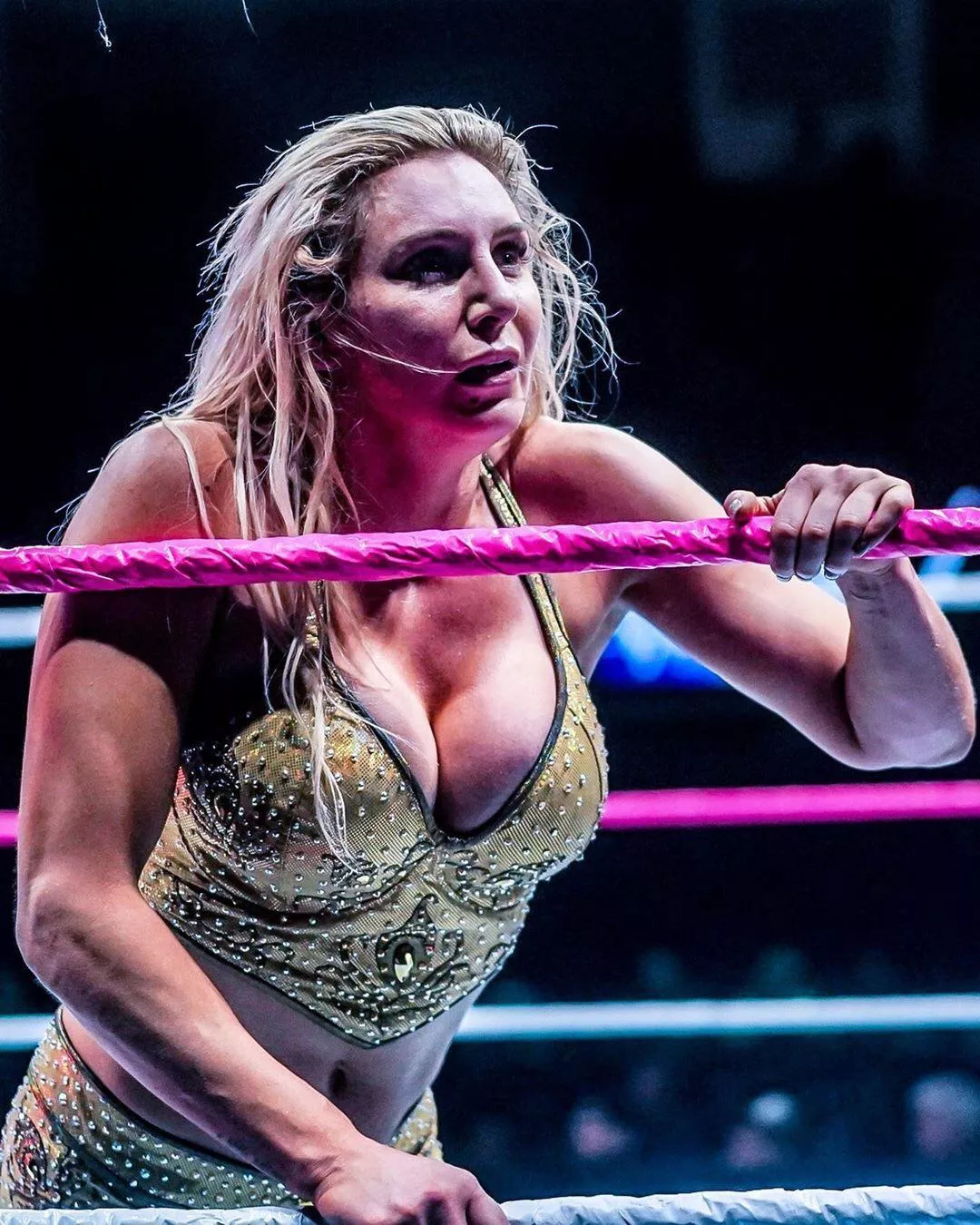 I miss seeing these big pornstar tits on her