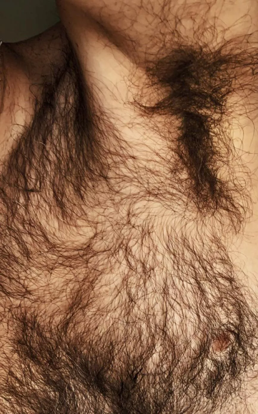 I need a good brushing...