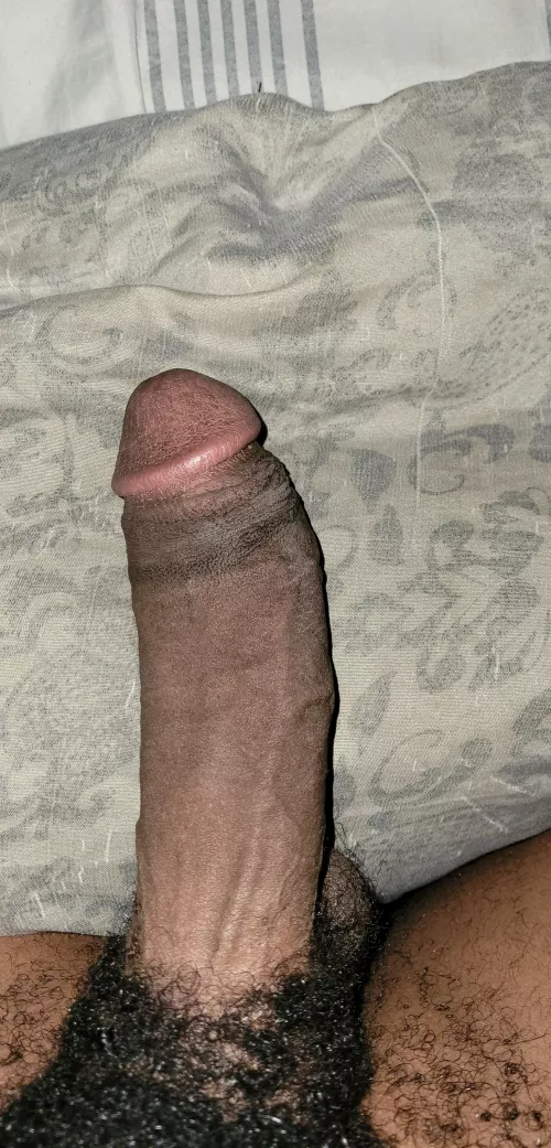 I need a sissy to suck me