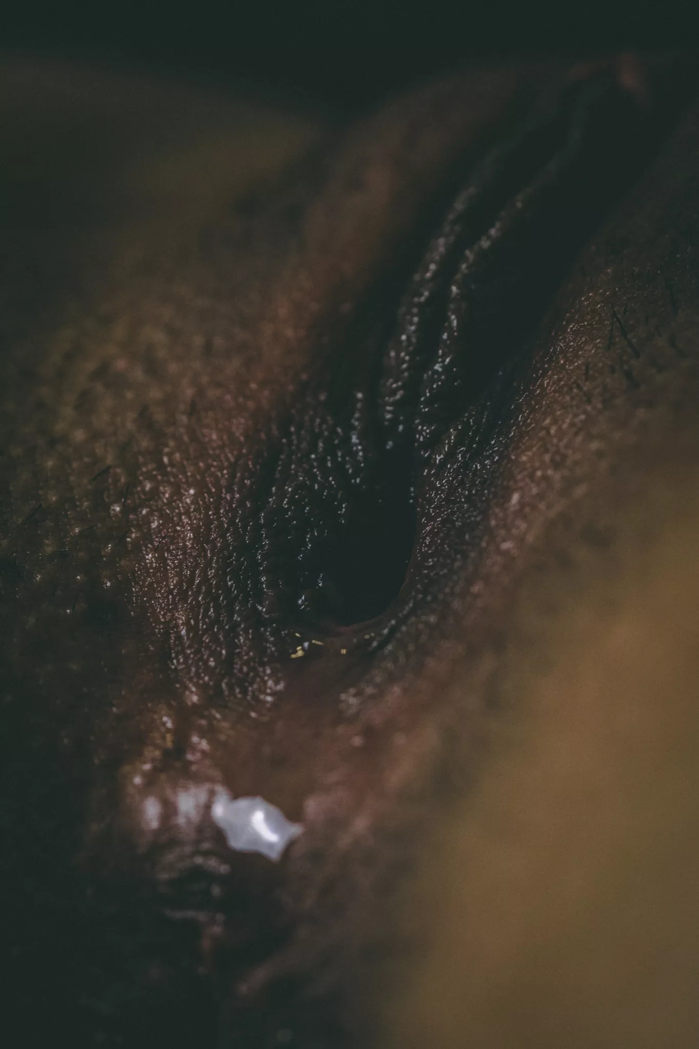 I need another wife to breed