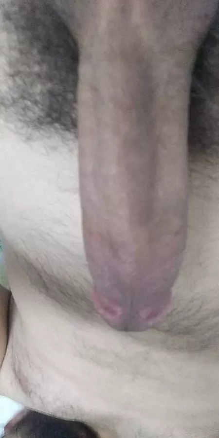 I need sissy or trans