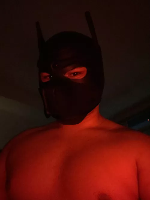 I need some more pup friends;) hmu