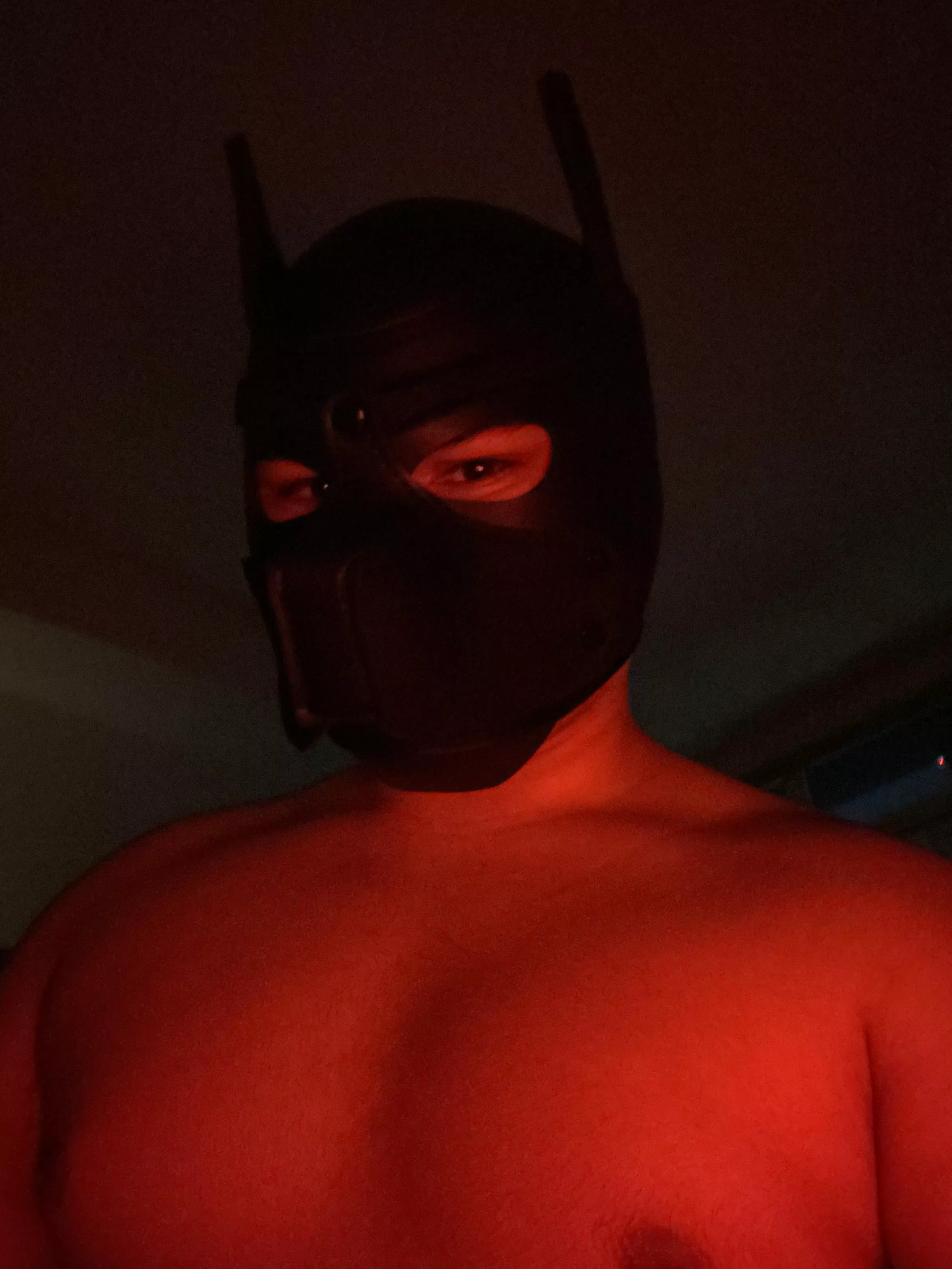 I need some more pup friends;) hmu