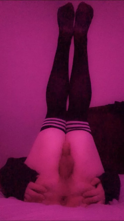 i need to be bred, could somebody help me 🥺