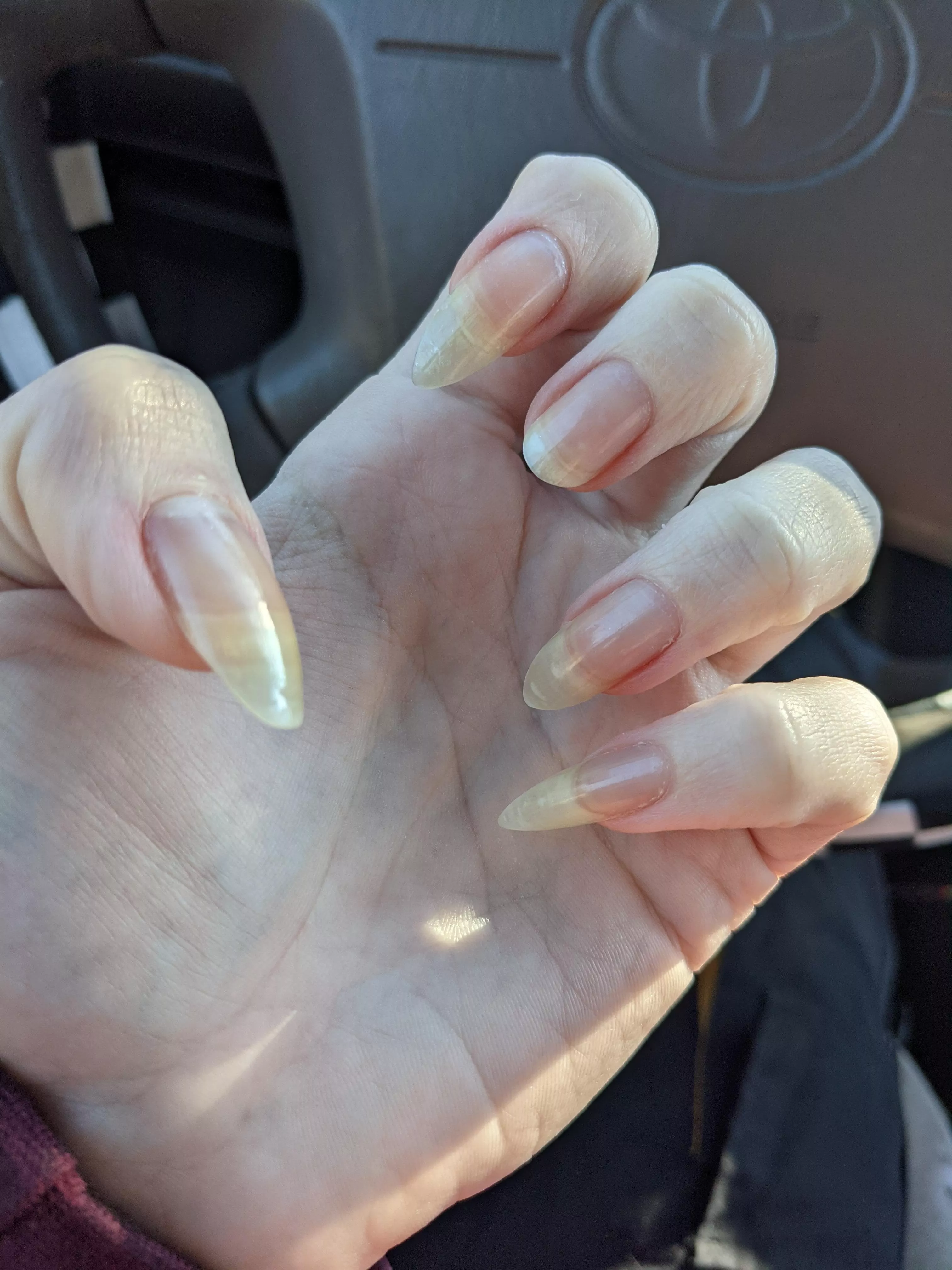 I need to be consoled 😭 admire the claws I have left extra hard for the one that broke [closeup]