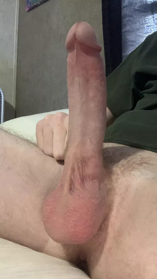 I need your warm tongue on my cold balls 😏