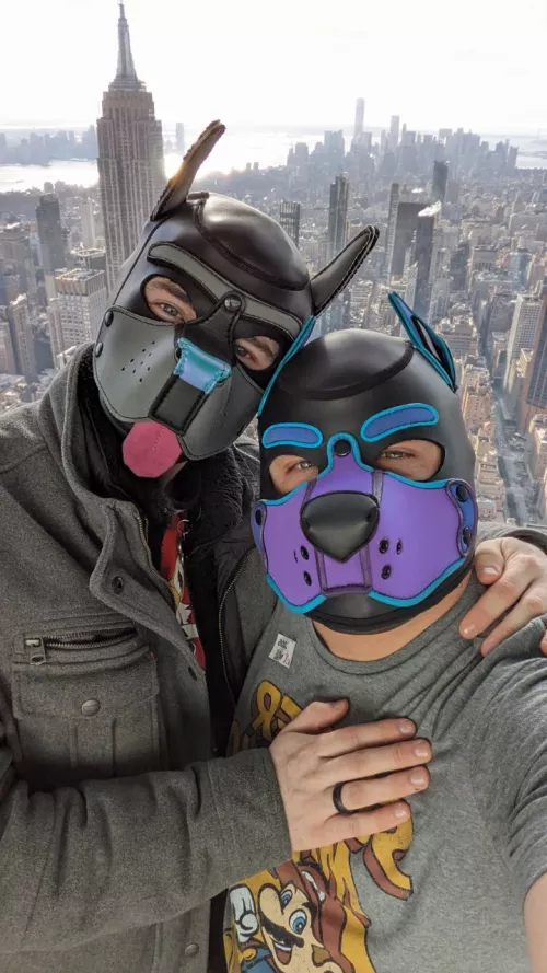 I proposed and puppy said yes