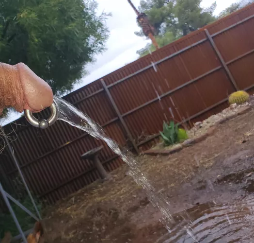 I really wanna play outside in the rain, but need someone to play with. 😩