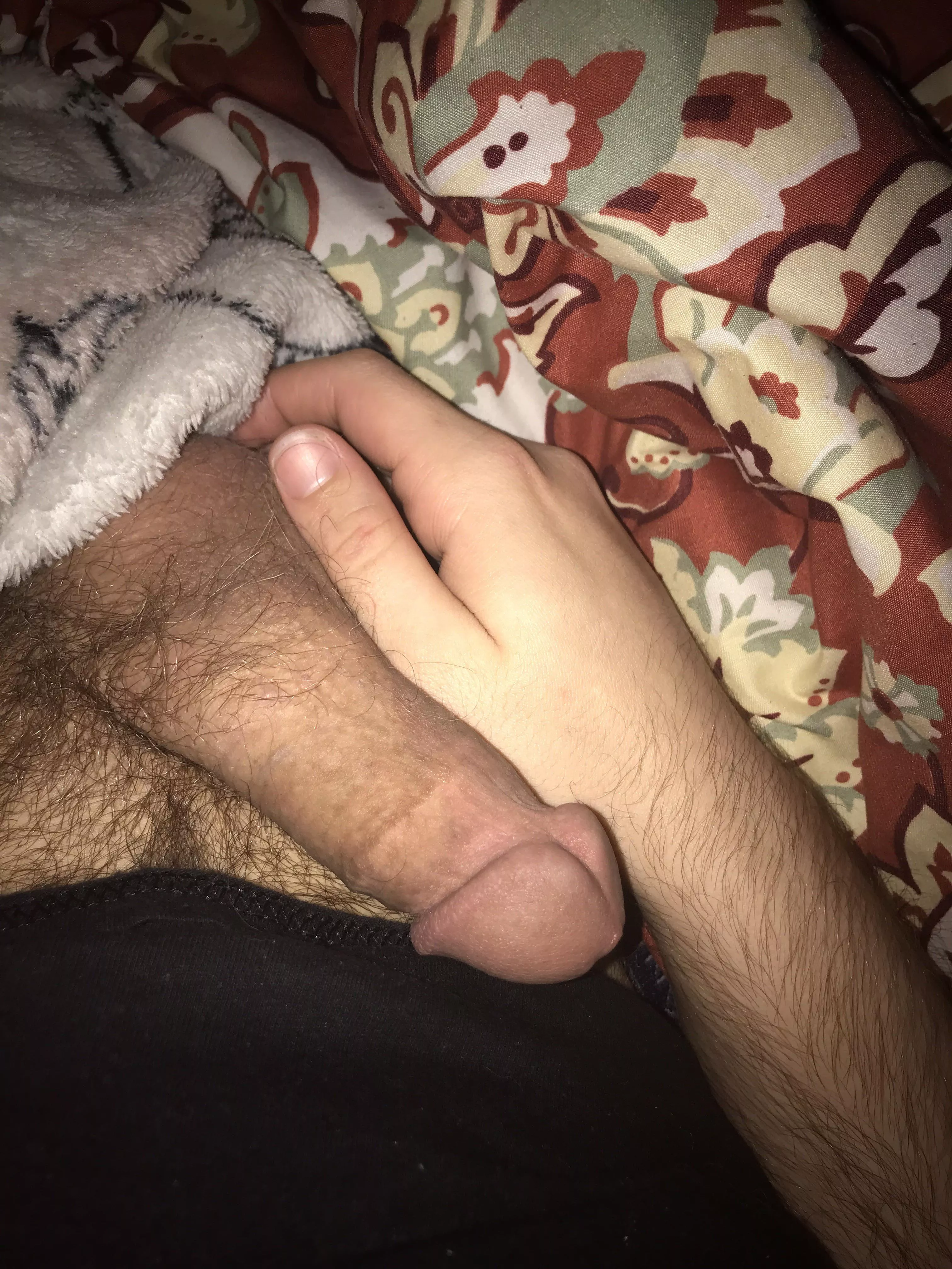 I recently trimmed and I already miss my bush. It should be halfway back this week or so I recently trimmed and I already miss my bush. It should be halfway back this week or so