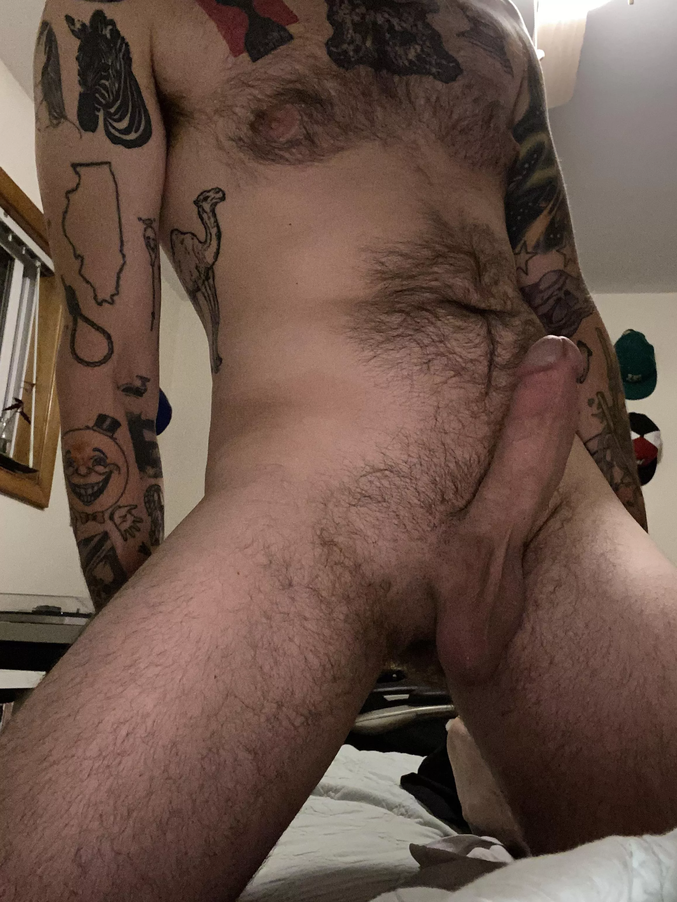 I should be sleeping