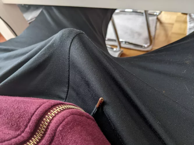 I should stop browsing Reddit while I'm in my online classes