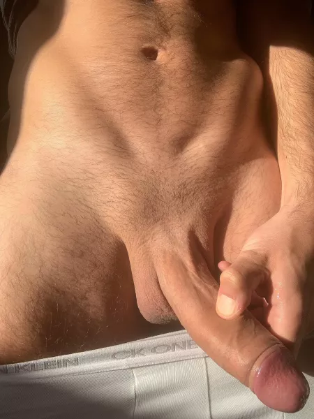 I showed you my cock pls respond π