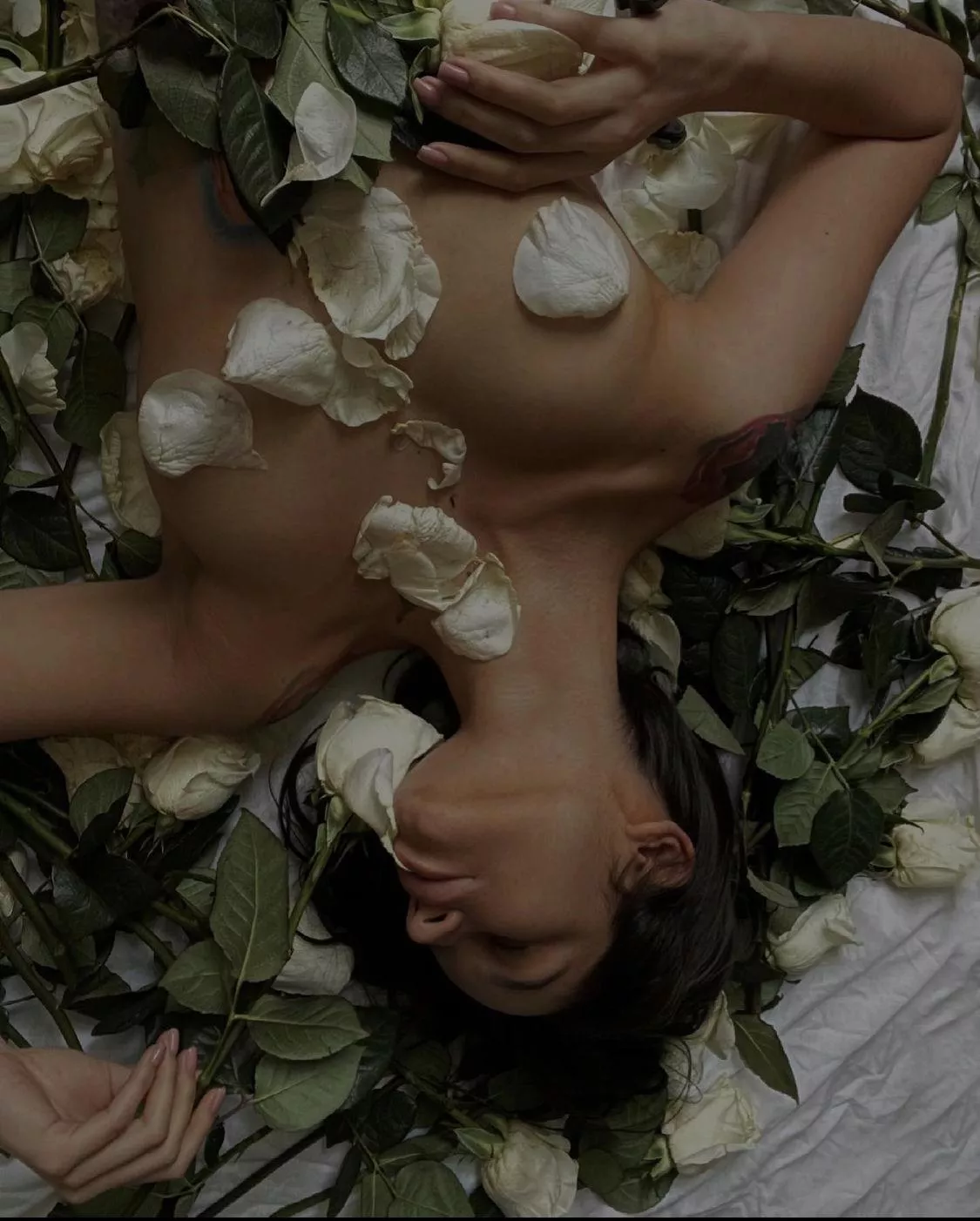 I think a little wind would have made a better picture😏💝💖