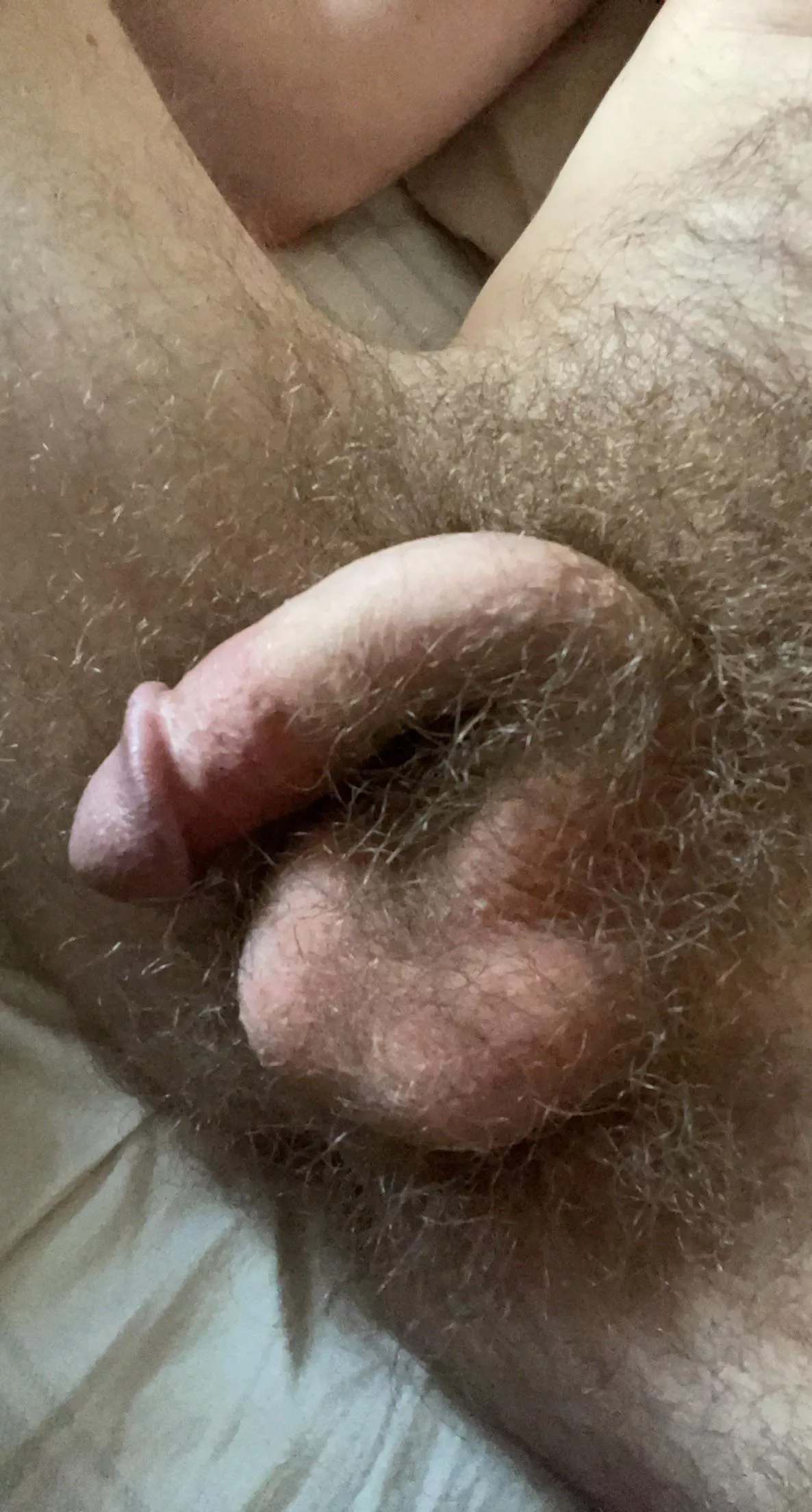 I think I got the lighting just right!