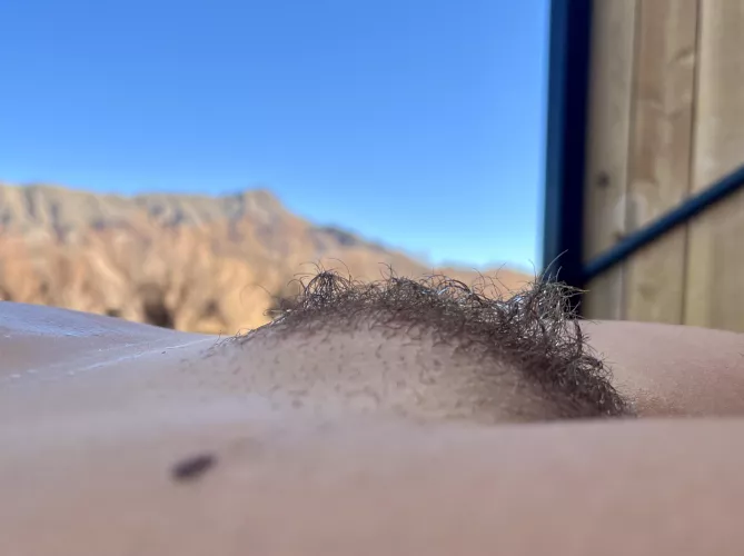 I think it looks like a Mohawk!