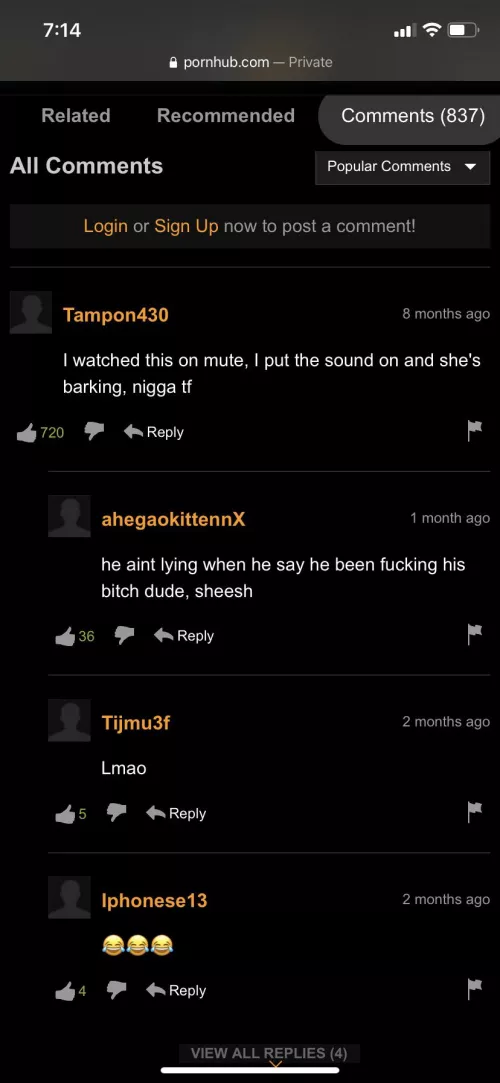 I thought the same exact shit and had to check the comments