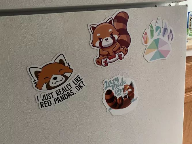 I thought these magnets would look cool on my car. Roommate said I should reconsider as they may draw unwanted attention and/or get stolen off my car. Should I just keep them on the fridge? I was really excited too… :/