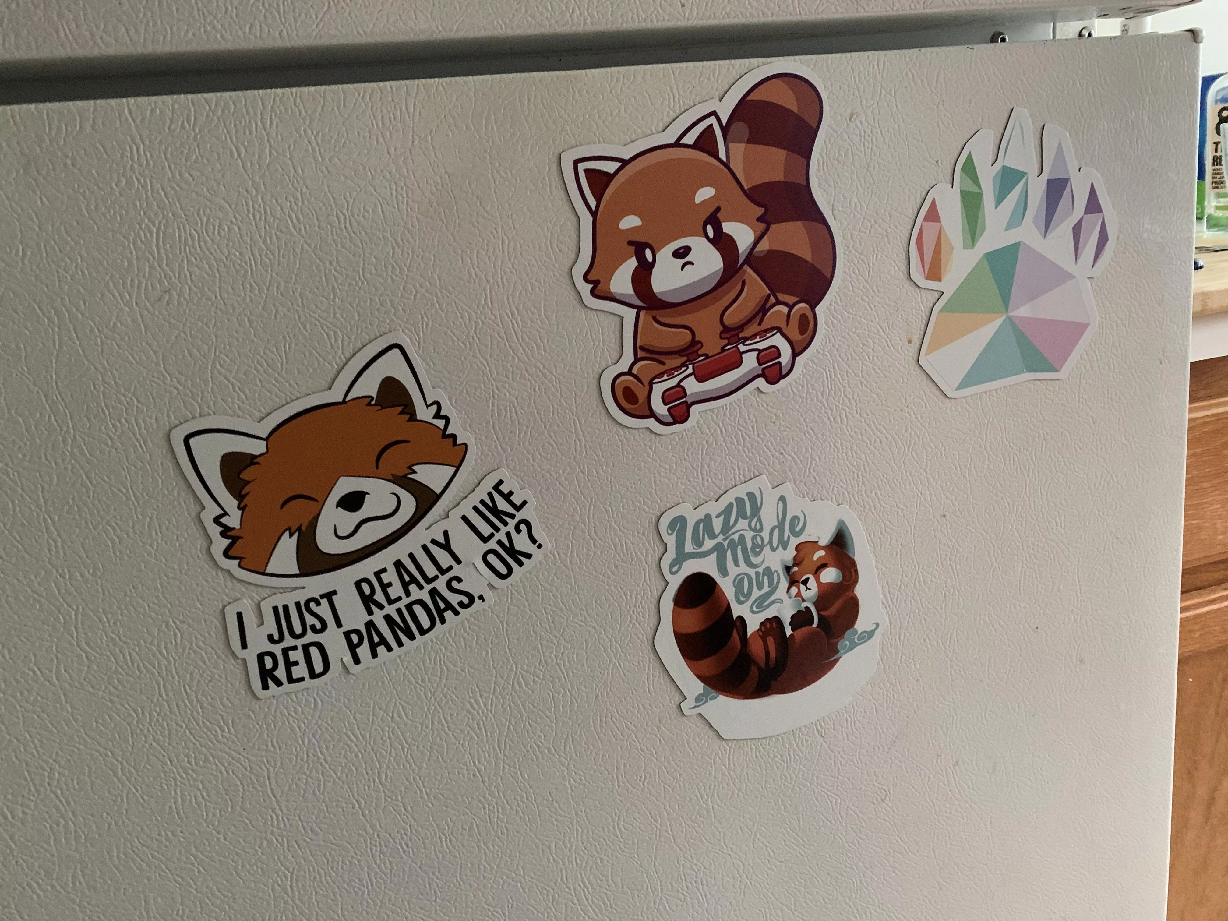 I thought these magnets would look cool on my car. Roommate said I should reconsider as they may draw unwanted attention and/or get stolen off my car. Should I just keep them on the fridge? I was really excited too… :/