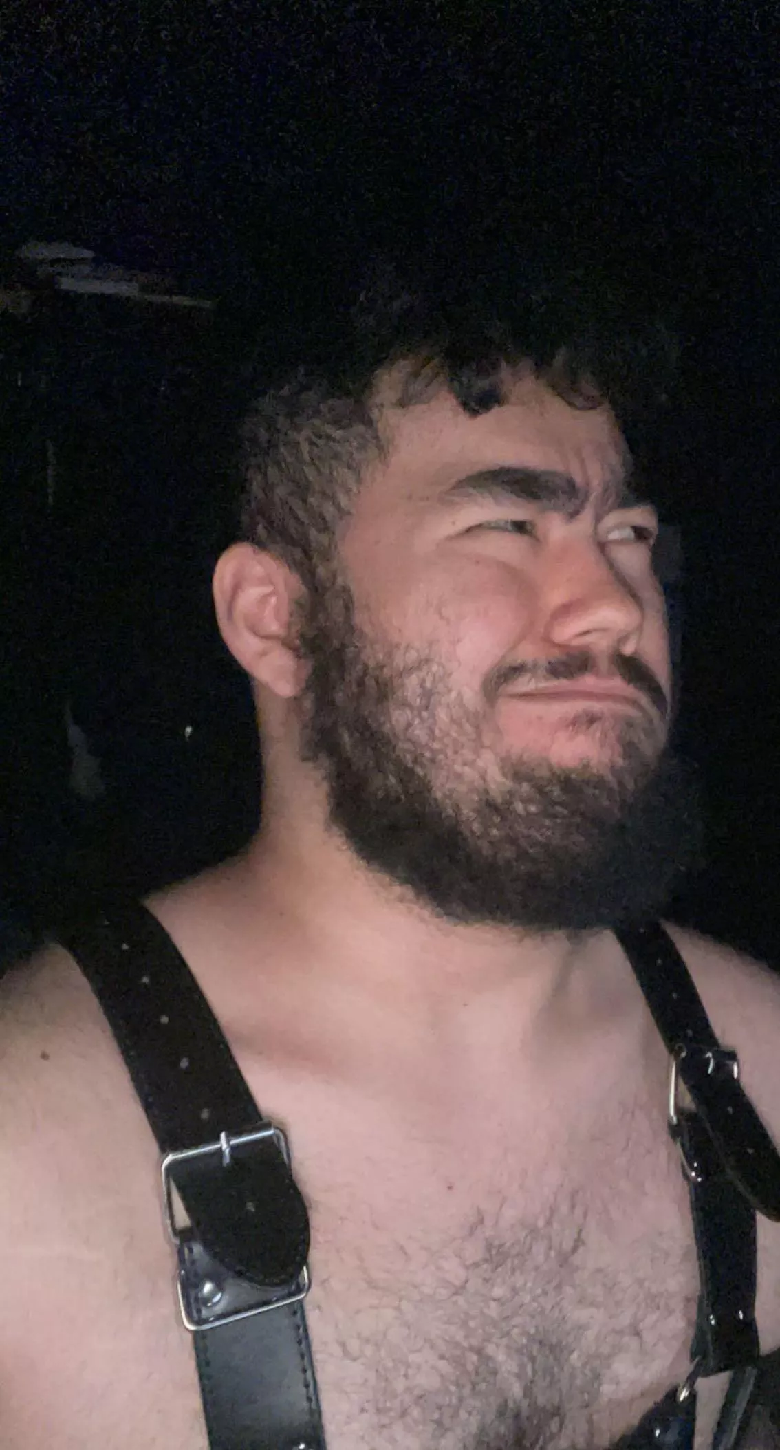 I tried a harness… (19)