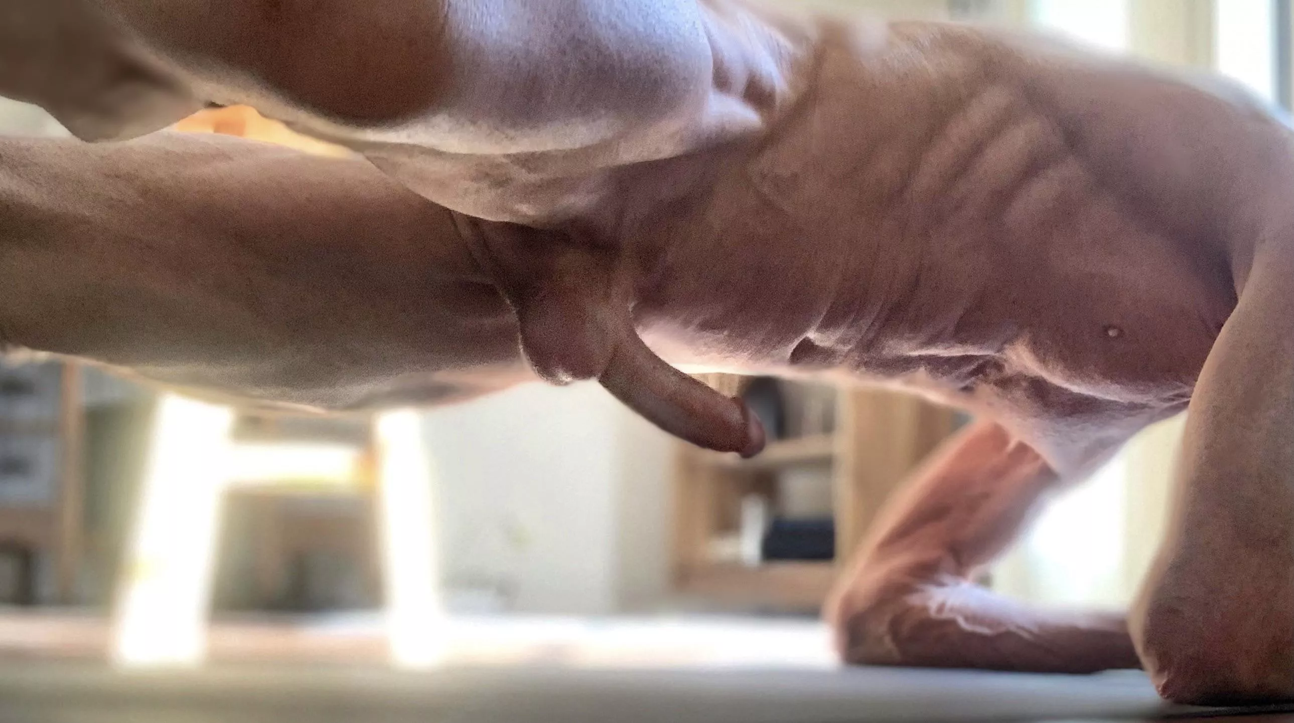 I use a mat for the hardwoods [55]