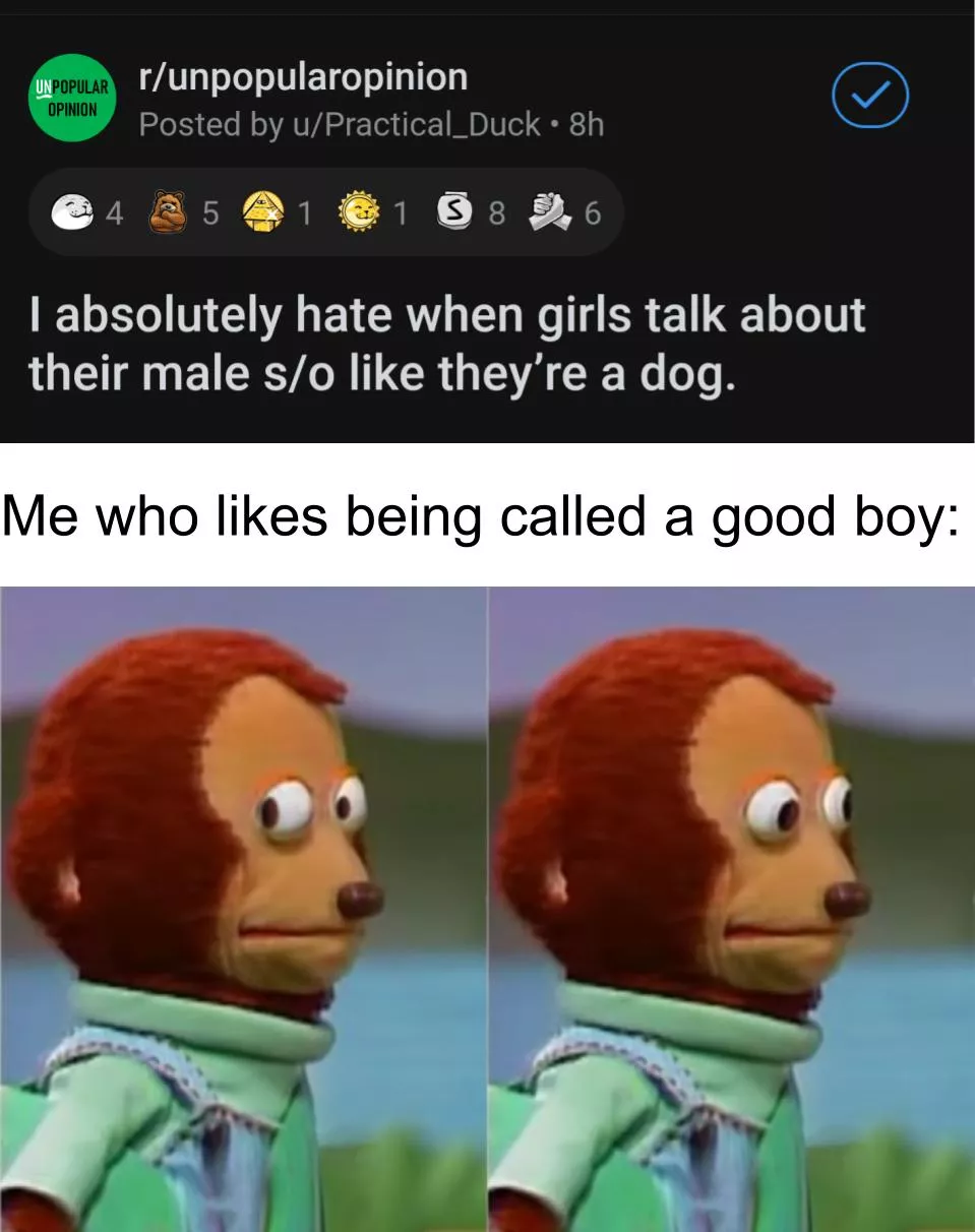 I use the puppy flair for a reason I use the puppy flair for a reason