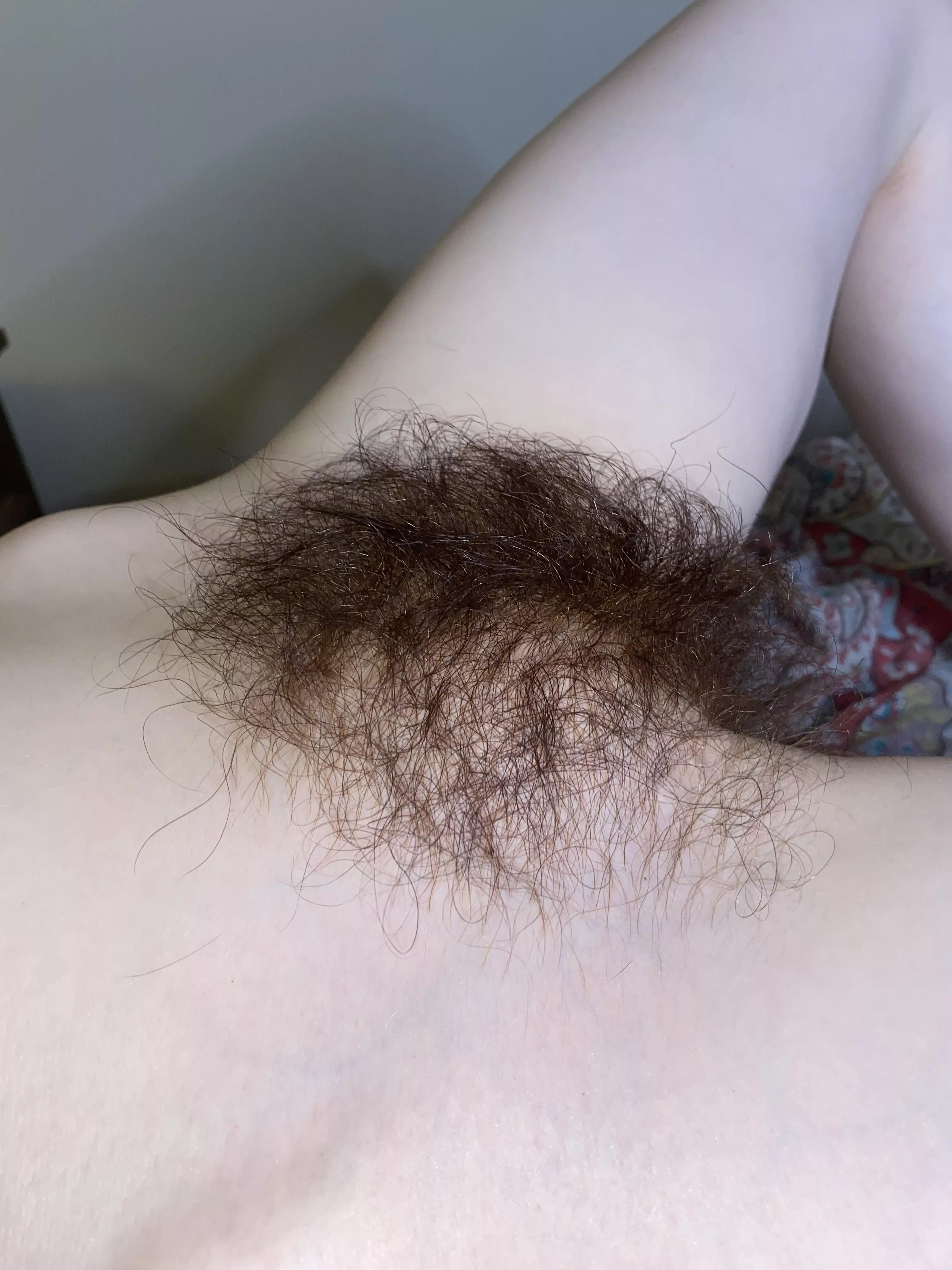 I wanna know if my bush would make you hard…? 😈 I wanna know if my bush would make you hard…? 😈