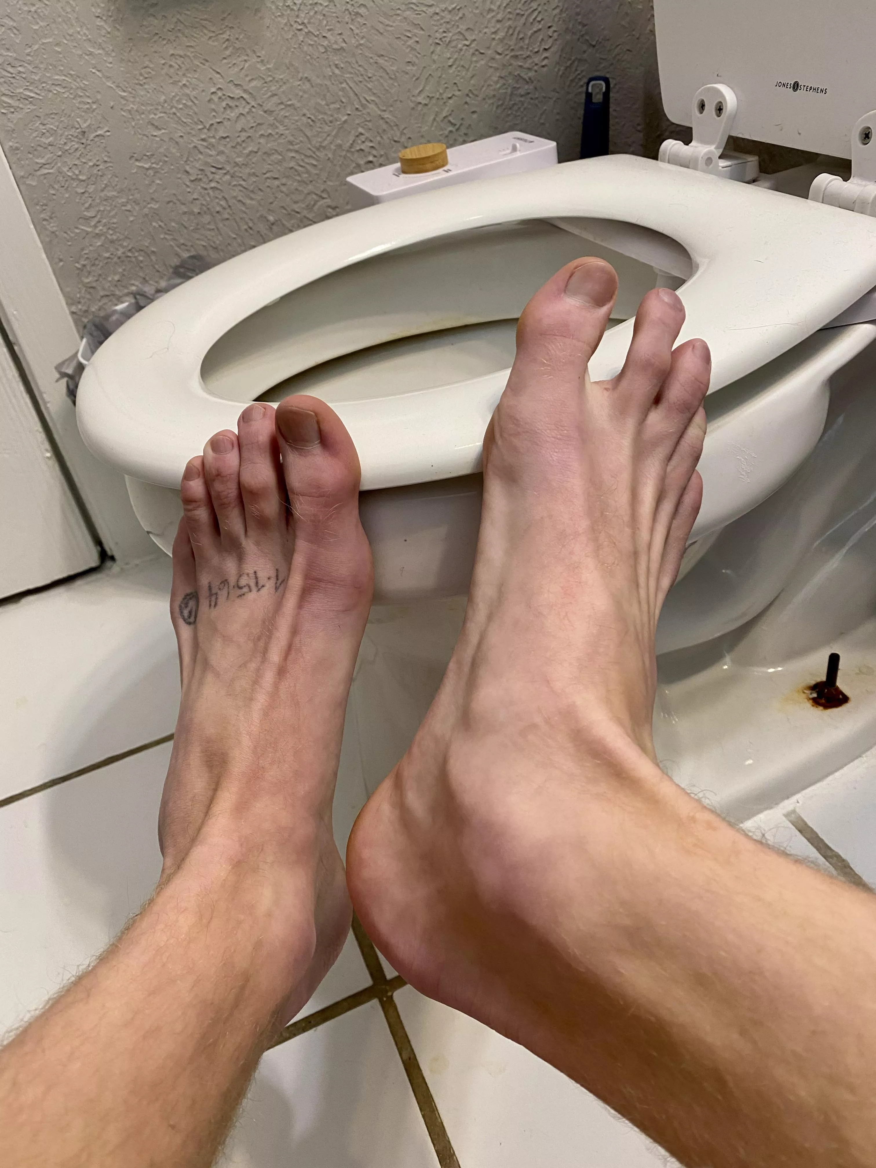 I want everything licked clean.