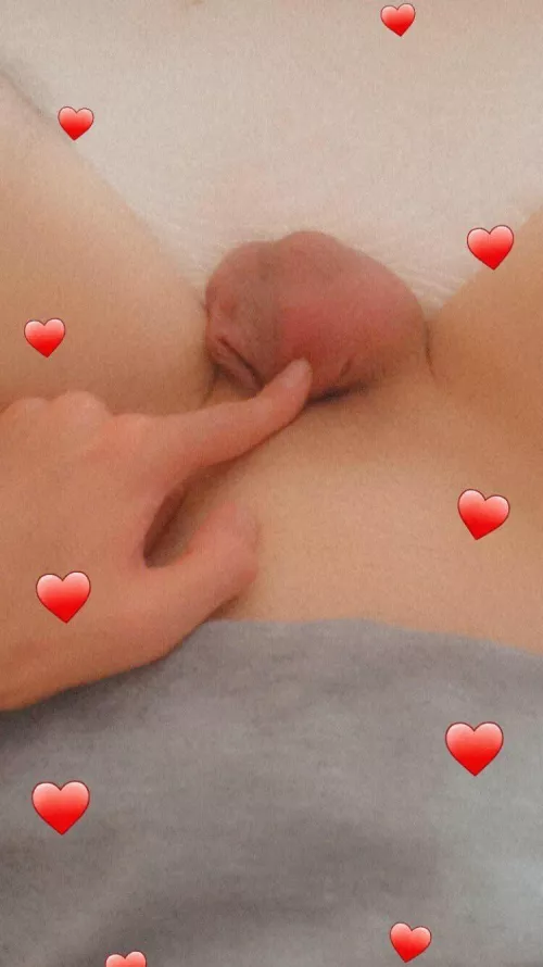 I want to hand cage it🐣