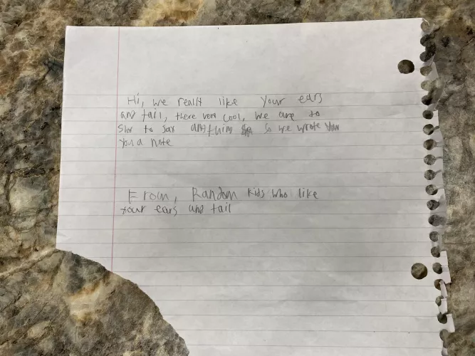I wear a set of fox ears and a tail on a regular basis, and this morning I found this note on my doorstep, left by some kids in my complex.