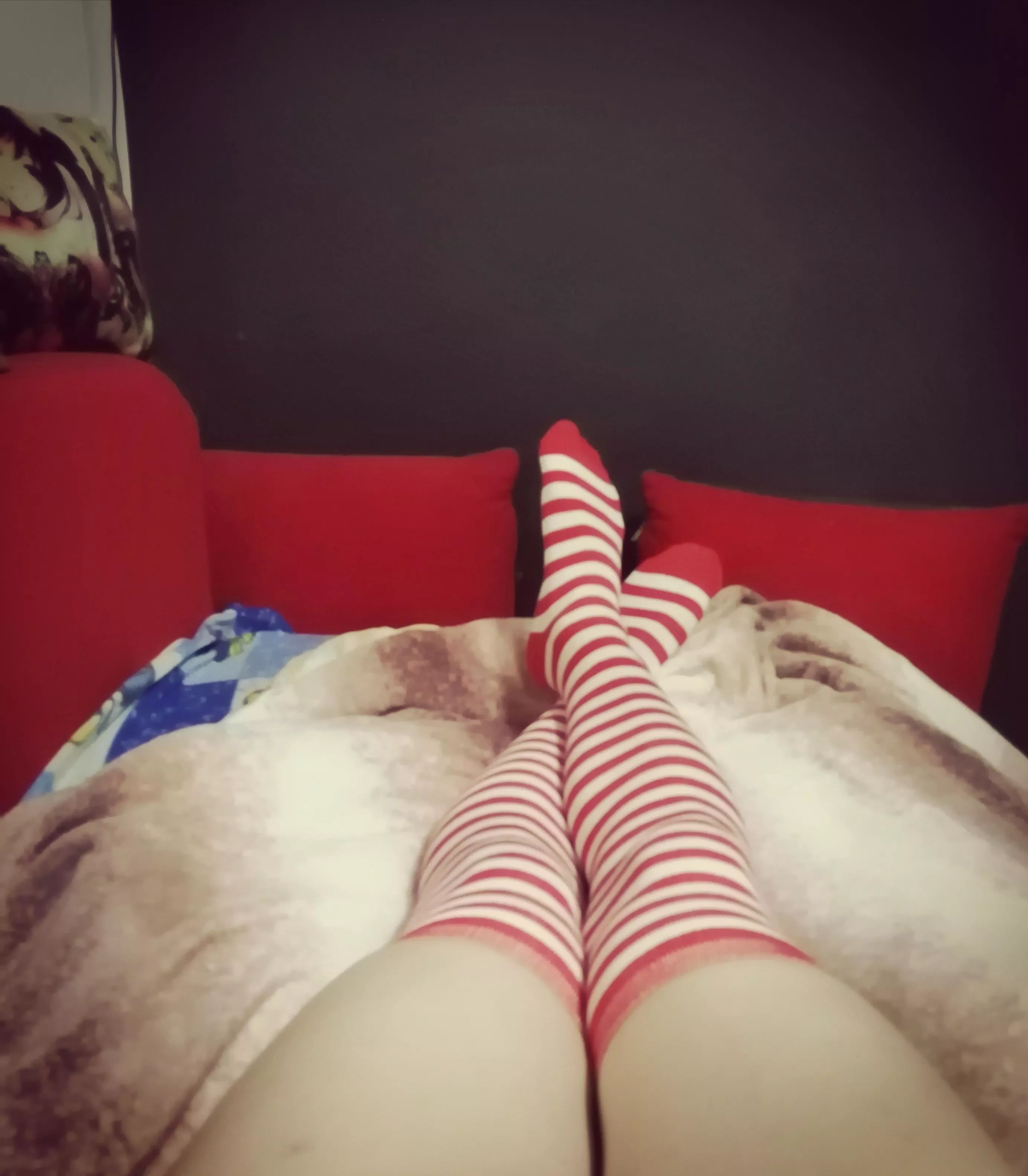 I wish I could post daily for you :3 what do you think about stripes?