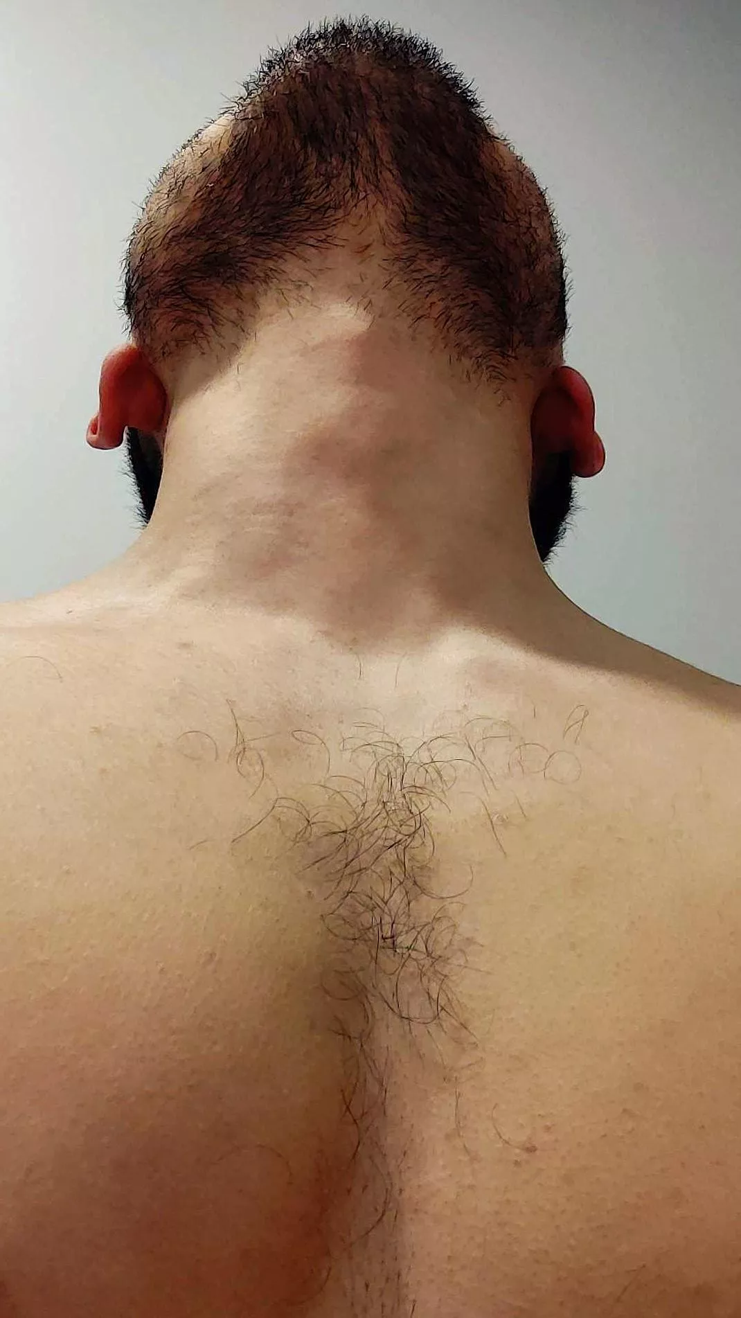 I wish my chest can be furry as you guys I wish my chest can be furry as you guys