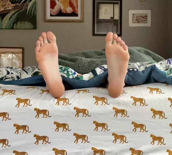 I woke up like this!