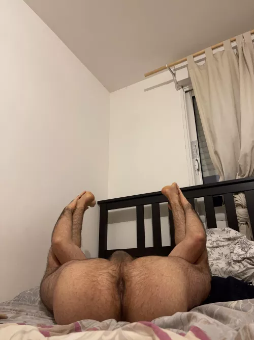 I won’t say no to a good breeding