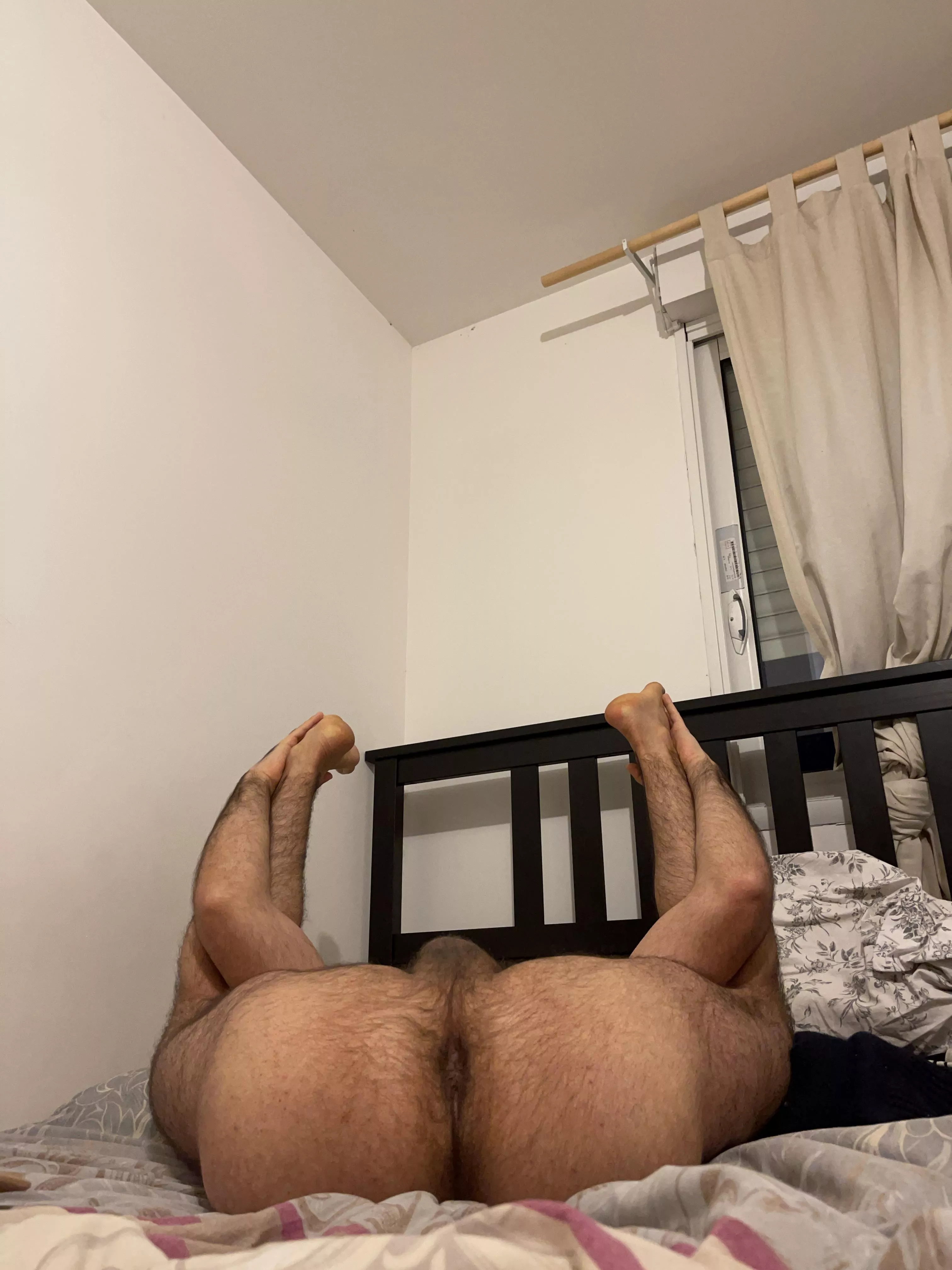 I won’t say no to a good breeding