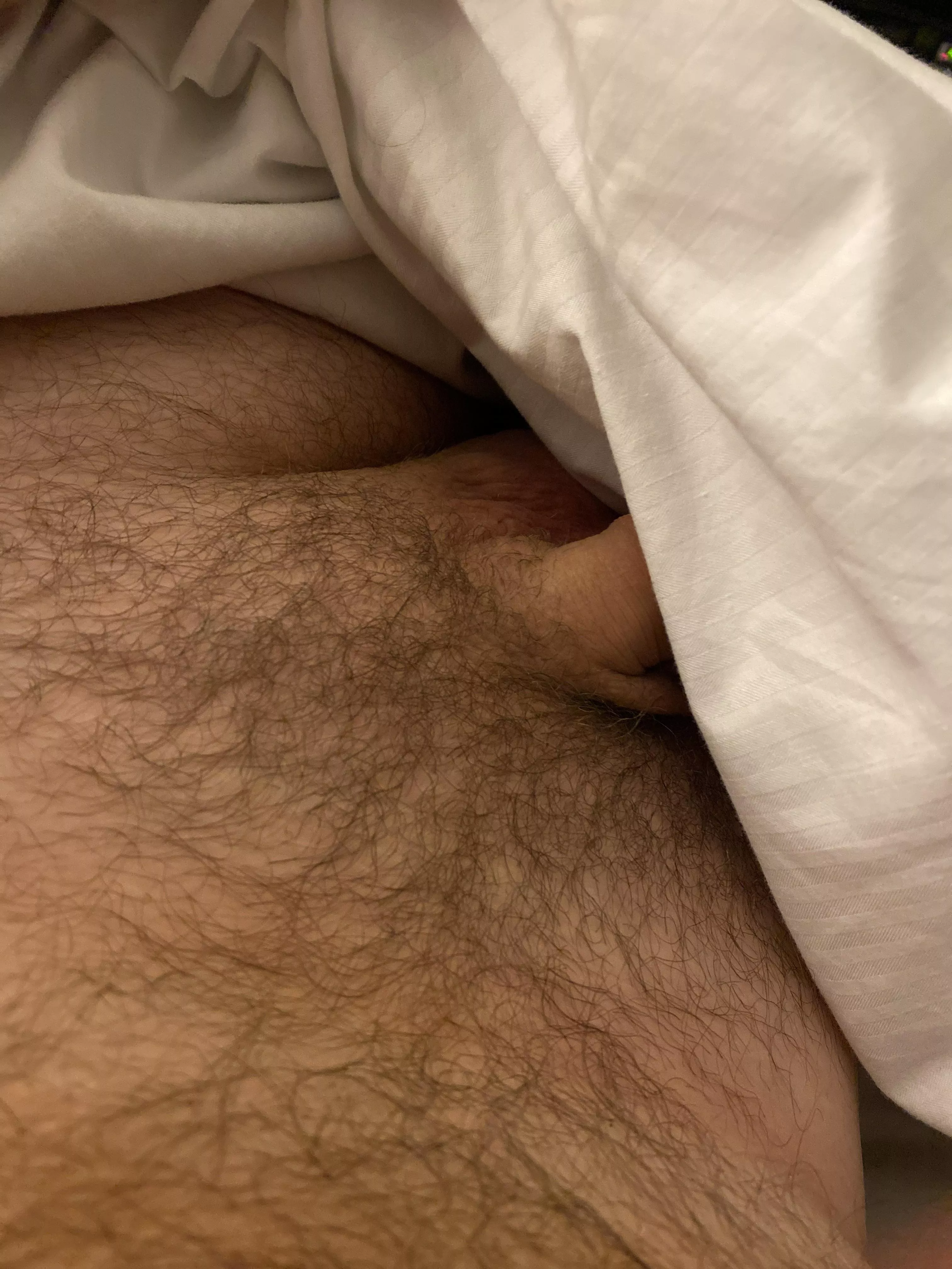 If it’s hairy and you like it…HMU If it’s hairy and you like it…HMU