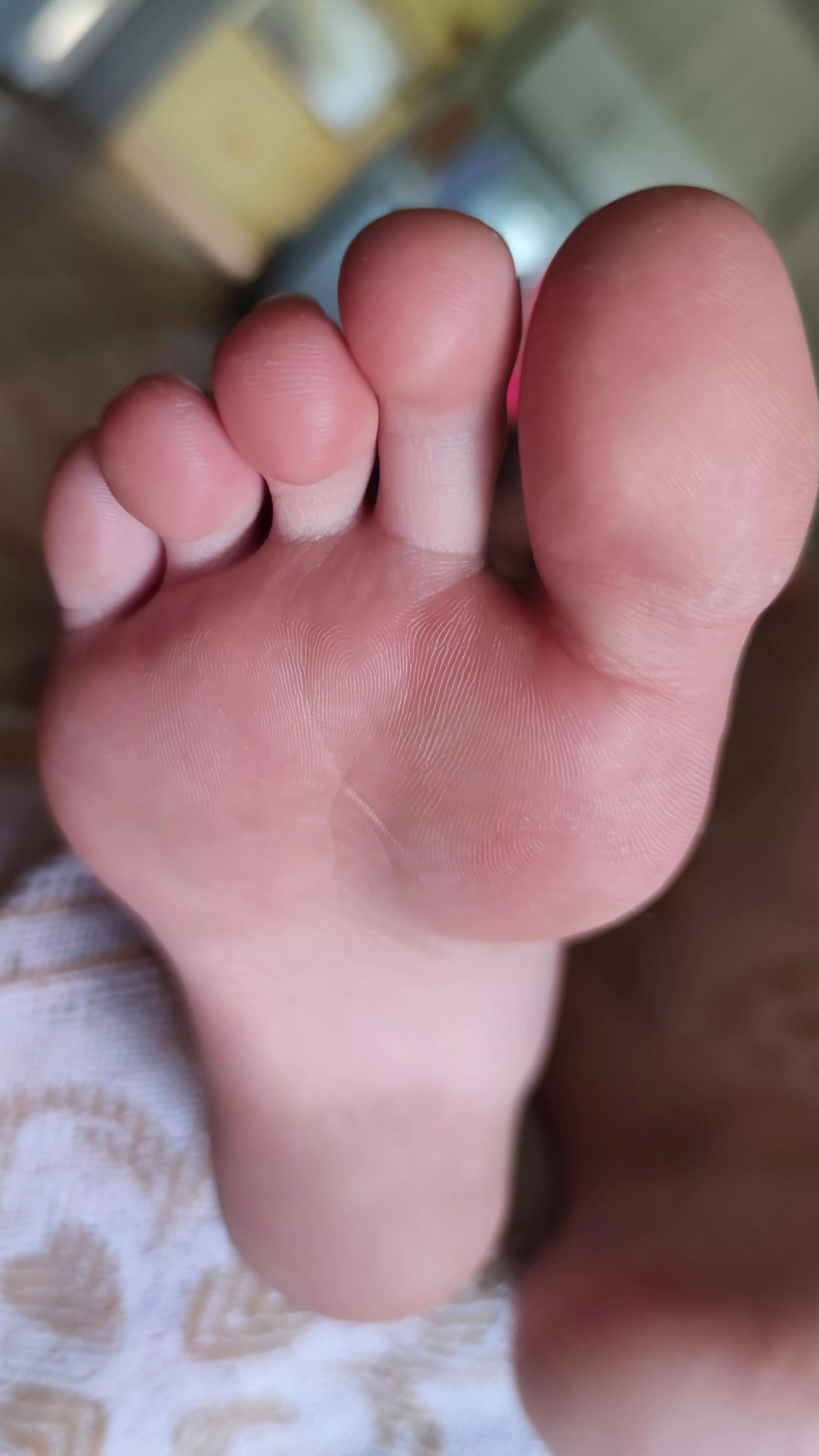 If you could only imagine how good they smell and how good they taste. Get closer, try to imagine.